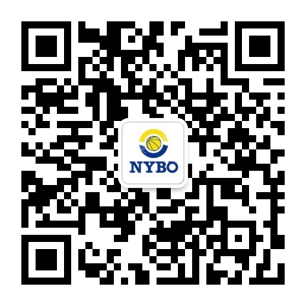 自動(dòng)雙量程 分析天平PTY系列